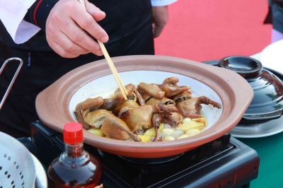 9.9元可“解锁”！过年快到兴宁邂逅“春天的第一只鸽子”