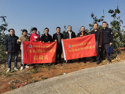 驻大东镇帮扶工作队：开展防寒防冻科技服务指导