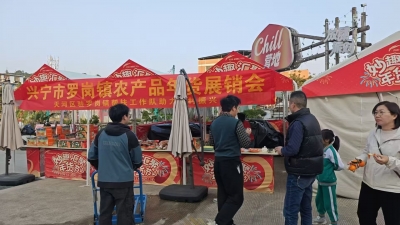 沃柑、高南寨沙田柚...兴宁这些土特产1月13日起亮相湾区