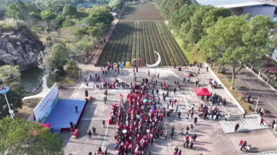元旦假期旅游热 平远曼佗山庄迎来客流高峰