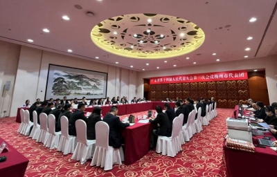 梅州代表团审议省政府工作报告，叶贞琴张海波马正勇王晖等参加审议