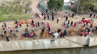 吹响2025乡村绿化冲锋号！ 梅州市绿美乡村“红梅迎春 千村增绿”行动暨乡村绿化景观带建设动员活动举行