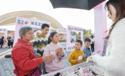 赏花 逛集 尝鲜！2025金山梅花节开幕啦