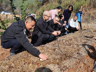 微生物科技下乡上田！梅州市农林科学院微生物研究所到梅县区程江镇开展科技示范合作签约活动