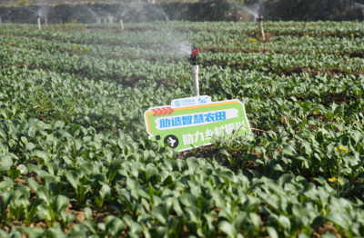 “一指”管理百亩地  奋力绘就好“丰”景！梅州移动数智赋能高标准农田改造提升建设助力乡村振兴