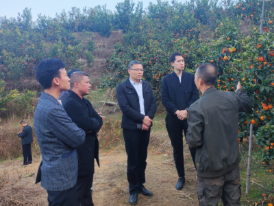 荔湾区驻梅县区松源镇工作队：“以购代帮”增动力，消费帮扶促振兴