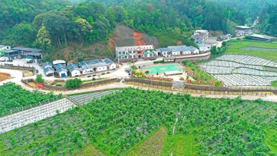 宜居宜业美丽乡村！来看平远八尺镇黄沙村的绿色蝶变→