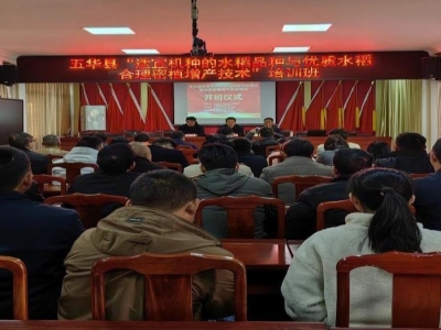 把技术带回“田间地头”！五华县开展水稻增产技术培训
