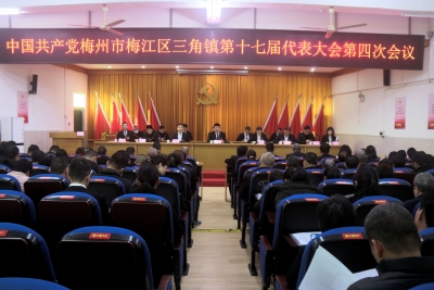 中共梅州市梅江区三角镇第十七届代表大会第四次会议胜利召开