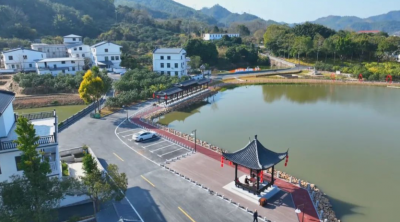 梅县区松口镇：高质量建好典型镇 奋力谱写松口现代化建设新篇章