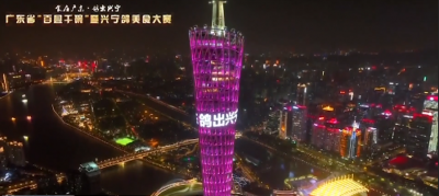 兴宁鸽：从同一个地方出发 在不同的城市闪耀