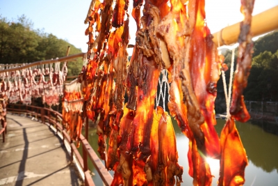 寿乡蕉岭·桂花