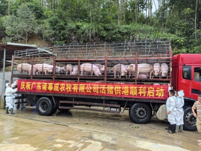 兴宁实现两个“零的突破”！打好“五外联动”组合拳，推动外贸外资量质齐升