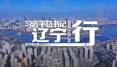 时政微纪录丨习近平总书记辽宁行