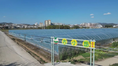 梅县区：串点连线 成片发展 带来乡村振兴新风貌