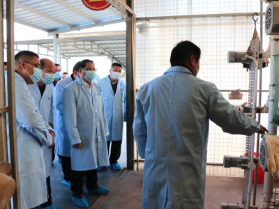 兴宁市人大常委会组织开展兴宁鸽产业高质量发展情况专题调研