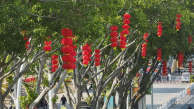 梅县区：大红灯笼高高挂 花团锦簇迎新春