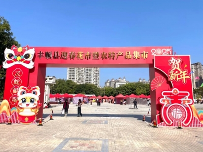 办年货、买年花！2025丰顺县迎春花市暨农特产品集市今日开市