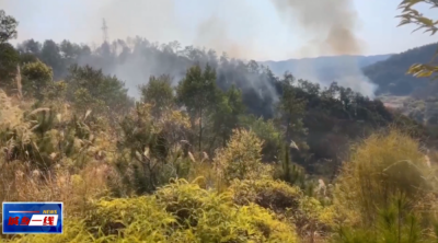 这样的“乐”要不得！燃放烟花爆竹引山火，拘留所过年！