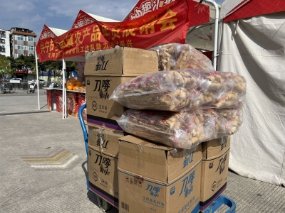 人间有爱 情满凤凰