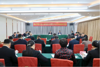 丰顺代表团审议市人大常委会工作报告和“两院”工作报告