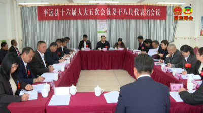 周小勇等县领导参加人大代表团分组讨论