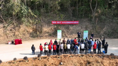 市林业局到平远开展植树活动