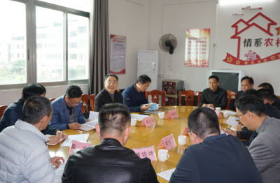 黄立强到蕉岭县三圳镇调研督导“百千万工程”工作