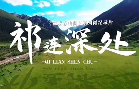 绿水青山间｜祁连深处