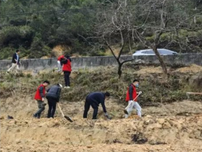 五华县双华镇：三华李种植“添新绿”，乡村振兴“结硕果”！