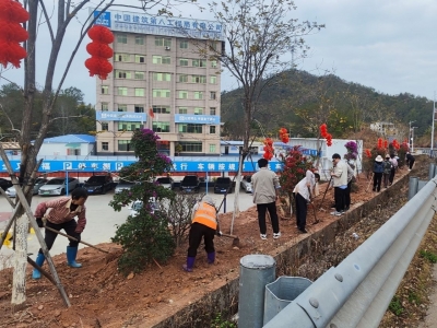 今天，他们携手植绿！