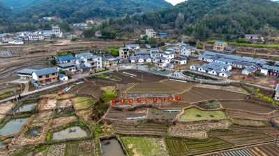 生态美、产业兴！来看平远上举畲脑村蝶变进行时→