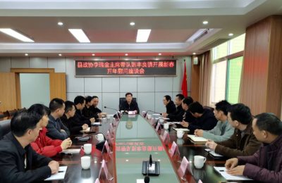 李瑞金到丰良镇开展典型镇村建设调研工作