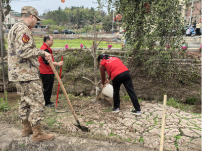 平远县民政和退役军人事务局联合县武装部、长田镇开展军民共建国防林活动