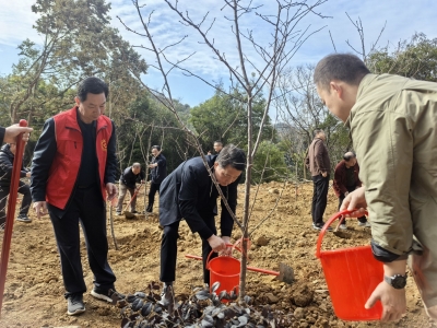梅州市林业局举办“绿美我家•美梅与共”2025年全民爱绿植绿护绿行动捐款活动暨“千村增绿先锋行”主题党日植树活动