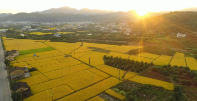探索“两山”转化的实践路径！梅县区加快推进全域土地综合整治工作