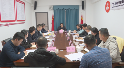 刘鸿涛到桂岭控股调研