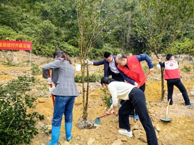 抢抓黄金期，绿美正当时！梅江区西阳镇组织开展义务植树活动