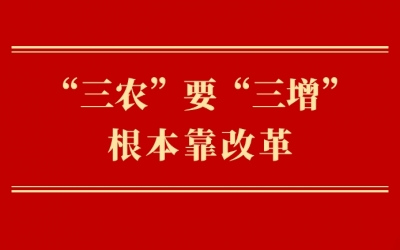 第一观察｜“三农”要“三增”　根本靠改革