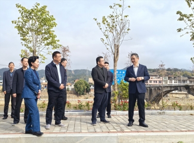 张达宏到大埔开展定点联系县、镇、村工作