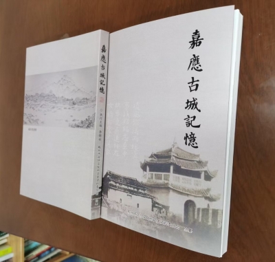 两会花絮丨《嘉应古城记忆》引发热议