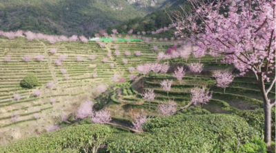 梅县区：游客络绎不绝 景区新春人气旺