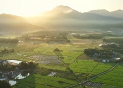 微视频｜感悟总书记的“三农”情怀