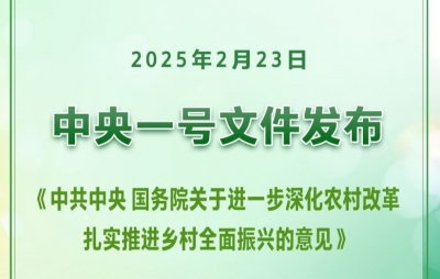 2025年中央一号文件发布