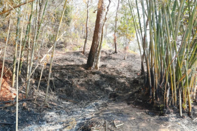 森林防火容不得一丝大意！梅县一村民违规处置灰烬引发山火