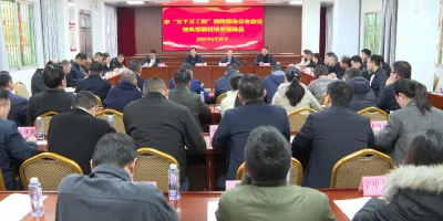 兴宁市召开“百千万工程”指挥部办公室会议暨典型镇村培育现场会