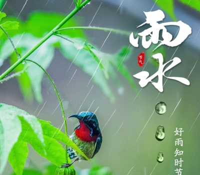 雨水至，春回万物兴