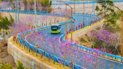 美翻了！快来看蕉岭的“花花世界”