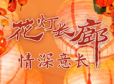 学习进行时丨花灯长廊 情深意长
