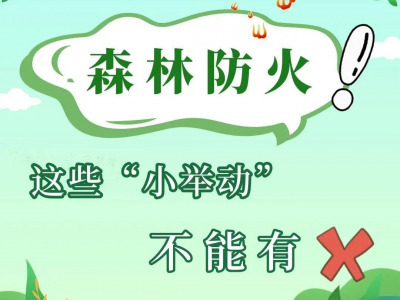 烟花爆竹迎新春，森林防火勿放松
